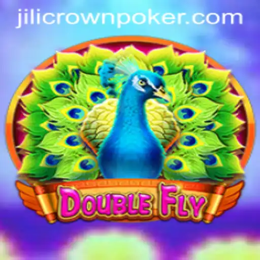 Unveiling the Thrilling World of DoubleFly: A New Frontier in Interactive Gaming